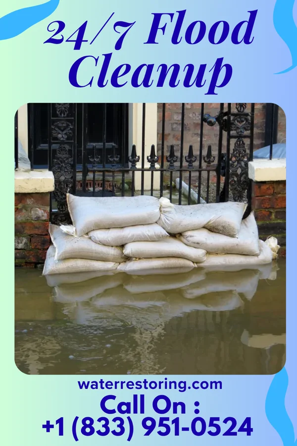 24/7 Flood Cleanup in Gonzales, TX