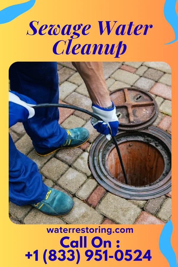 Sewage Water Cleanup in Gonzales, TX